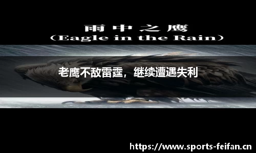 非凡体育
